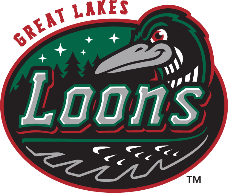 Great Lakes Loons 2016-Pres Primary Logo iron on transfers for clothing